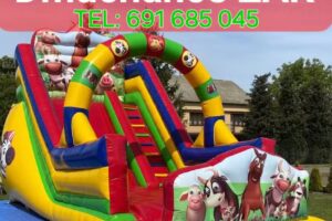 Agencja Plus-Art Joanna Sarwa-Żak