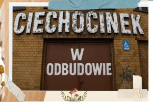 Agencja POWSINOGA &reg;