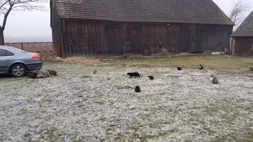 AGROTURYSTYKA ŁOMNICA &bdquo;Wichrowe wzg&oacute;rza&rdquo;