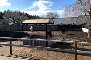 Agroturystyka Podkowa