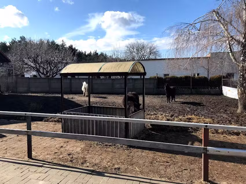 Agroturystyka Podkowa