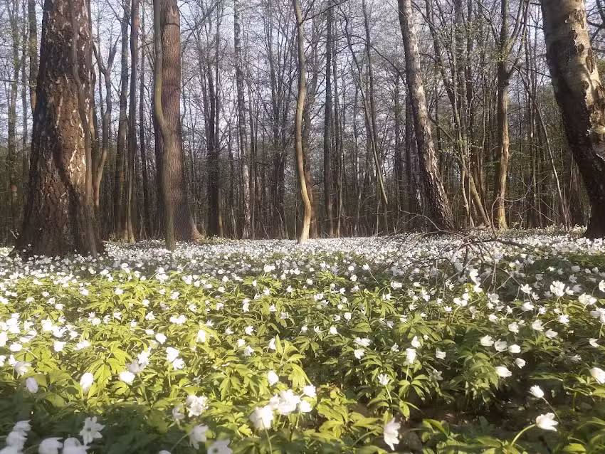 Agroturystyka Stajnia Jakub&oacute;w