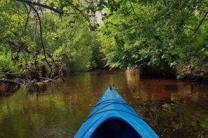 Bagienne Bractwo Obserwatorów Terenowych