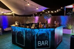 Barshow.pl &ndash; mobilne usługi barmańskie