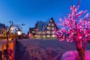 „BOROWY” Biały Dunajec