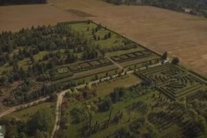 Brzoskwinia Ogr&oacute;d