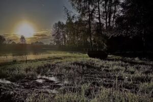 Catering u Jadzi, Jadwiga Batek