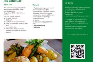 Catering Zielona Kuchnia Michał Wieczerzycki