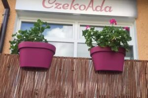 CzekoAda Pracownia Cukiernicza &ndash; Torty Ślubne Olsztyn