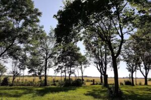 Diecezjalny Dom Rekolekcyjny