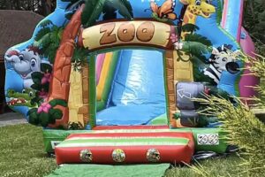 Dmuchańce Włodzimierz&oacute;w