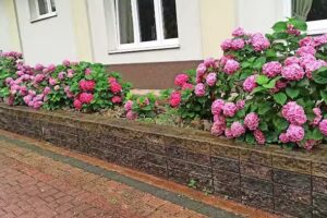 Dom Bankietowy RADIOSTACJA