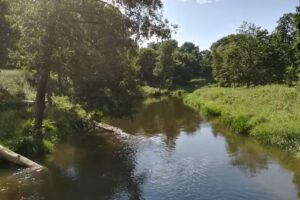 Dom Weselny Afrodyta