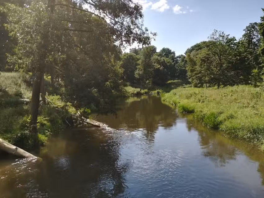 Dom Weselny Afrodyta