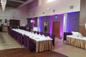 &bdquo;Dziki Dw&oacute;r pod kaczką&rdquo; Leo Libra