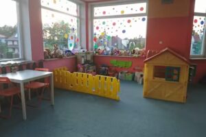 Dzikie Pląsy – Wawer