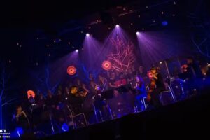 Efekt &ndash; technika estradowa / rental / kompleksowa obsługa techniczna imprez, Śląsk