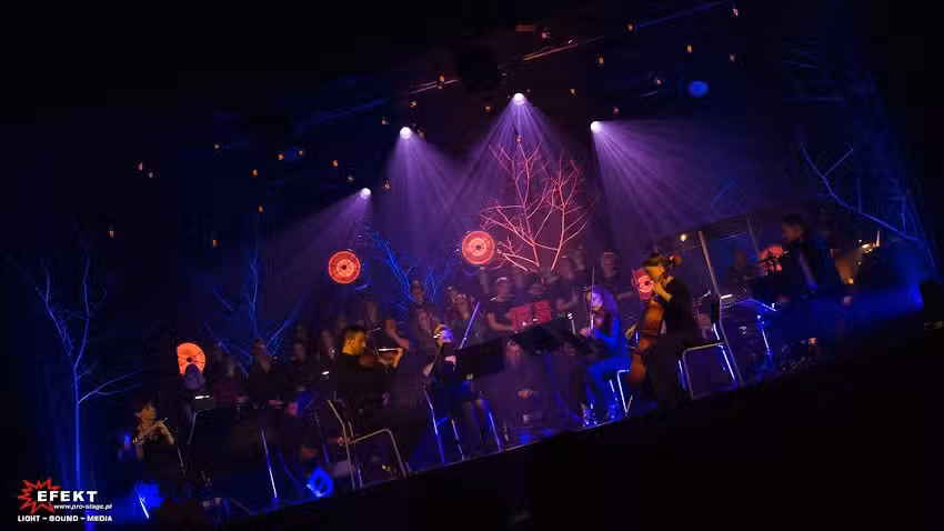 Efekt &ndash; technika estradowa / rental / kompleksowa obsługa techniczna imprez, Śląsk