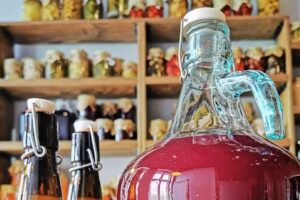 Ferment Kimchi Kiszonki Sushi