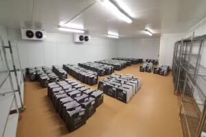 Fit Body – Catering Dietetyczny