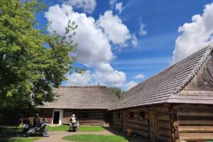 Gniazdo w Felicjanowie