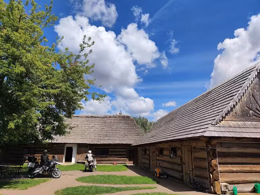 Gniazdo w Felicjanowie