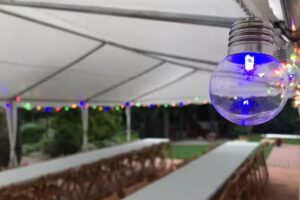 ️ Happytent Events. Wynajem namiot&oacute;w imprezowych Tarn&oacute;w| Imprezy, eventy w plenerze