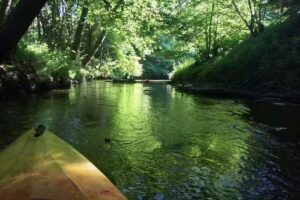 Kajaki miejscowość – Irena Kajakiem po Sannie