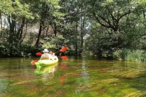 Kajaki Wdajak- Wypożyczalnia kajak&oacute;w spływy kajakowe organizacja imprez