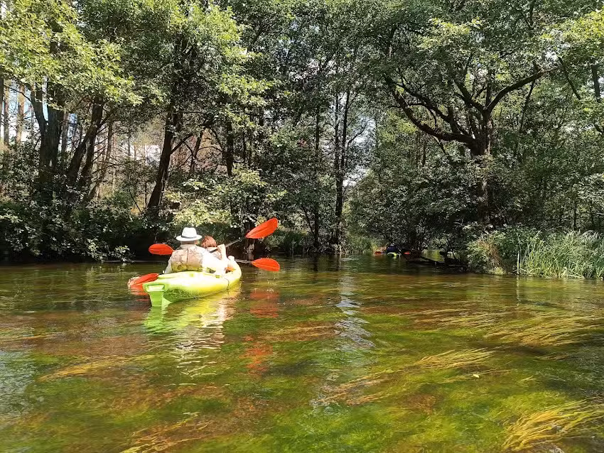 Kajaki Wdajak- Wypożyczalnia kajak&oacute;w spływy kajakowe organizacja imprez