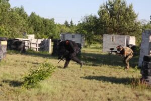 Kameleon Paintball 2 poligony