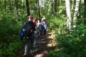 Kampinoskie Przygody® wycieczki, eventy, warsztaty, gry terenowe, edukacja klimatyczna – Kampinos Warszawa