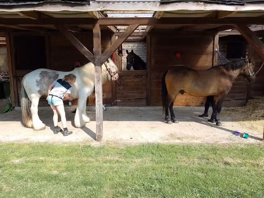 Krasna Szkapa -Stajnia, Agroturystyka
