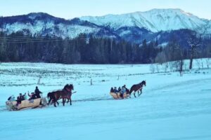 Kulig 》 Kuligi Murzasichle, Poronin. Murzasichle kulig