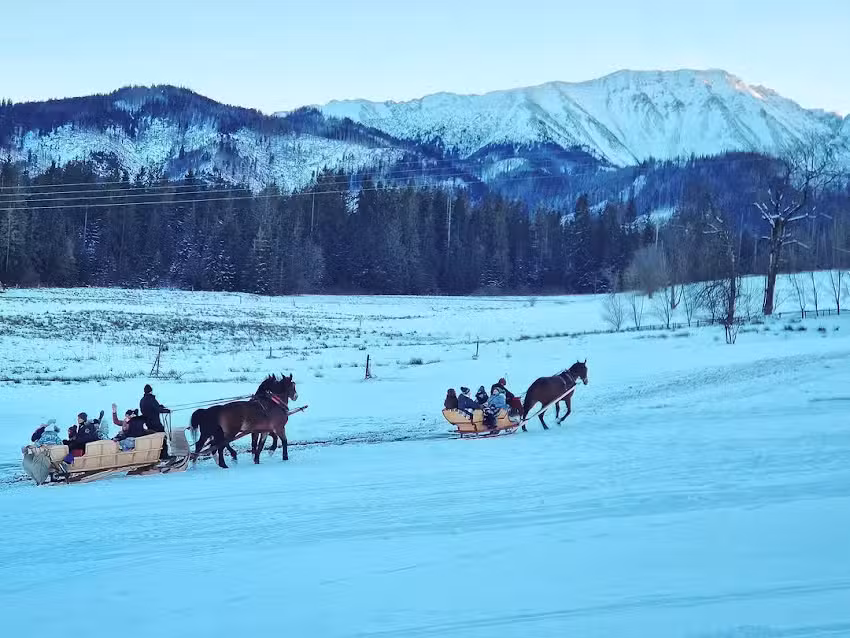 Kulig 》 Kuligi Murzasichle, Poronin. Murzasichle kulig