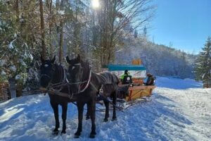 Kuligi Doliną Gościejowa z atrakcjami &ndash; letnie i zimowe