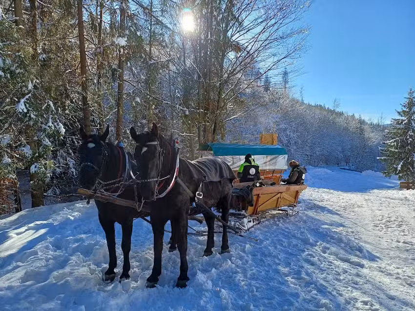 Kuligi Doliną Gościejowa z atrakcjami &ndash; letnie i zimowe