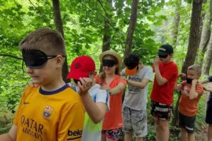 Leśny Świat Dziecka