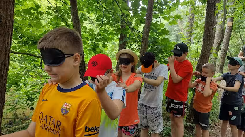 Leśny Świat Dziecka