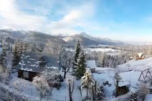 Lewicowy Odłam Krystynki. Organizacja Kulturalno Rozrywkowa