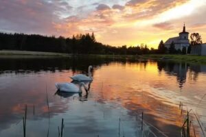 Łowisko 3 Stawy &ndash; Smażalnia ryb | Domki na wynajem | Organizacja imprez