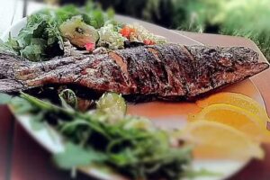 Łowisko Pstrągowe &bdquo;Pod Dębem&rdquo;