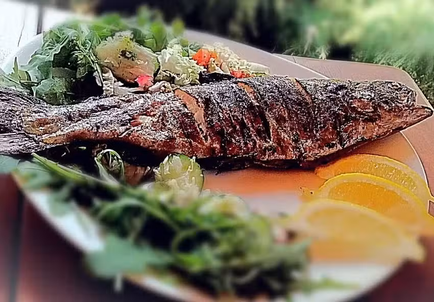 Łowisko Pstrągowe &bdquo;Pod Dębem&rdquo;