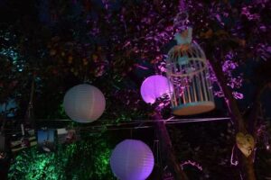 Lumen4u Magdalena Długosz