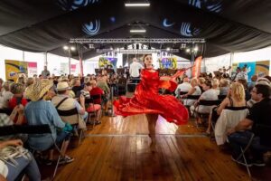 Media i Sztuka &ndash; Festiwal w Darł&oacute;wku