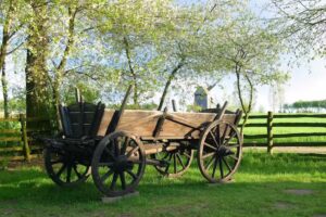 Muzeum Wsi Mazowieckiej w Sierpcu