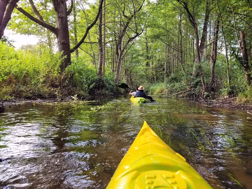 Na Patryckiej G&oacute;rce