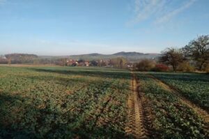 NOVA POLSKA. Sala weselna. Organizacja przyjęć okolicznościowych. Hodowla bydła mięsnego charolaise