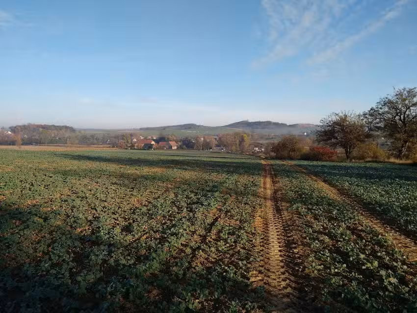 NOVA POLSKA. Sala weselna. Organizacja przyjęć okolicznościowych. Hodowla bydła mięsnego charolaise