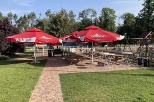 Nowy Folwark Na Skraju Lasu